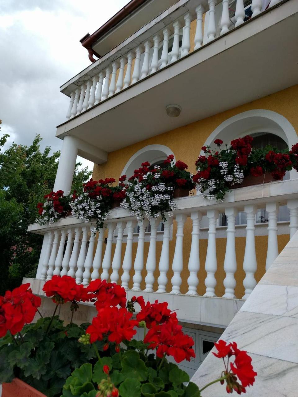 فندق Casa Monica Băile Felix المظهر الخارجي الصورة